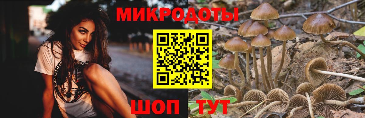 Псилоцибиновые грибы MAGIC MUSHROOMS Грязи